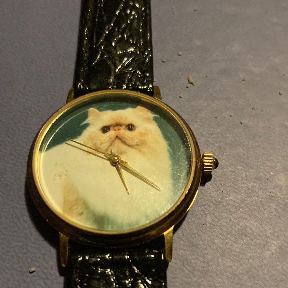 Vintage Kitty watch